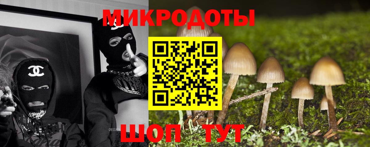 Галлюциногенные грибы GOLDEN TEACHER  Вход с VPN  Мценск  Галлюциногенные грибы Psilocybe 